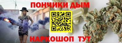 шишки Гатчина