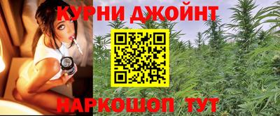 амф Гай
