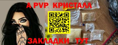 амф Гай