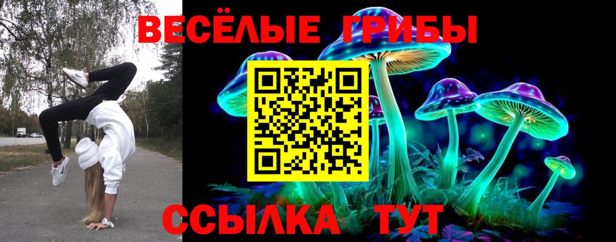 Галлюциногенные грибы Psilocybe  Галлюциногенные грибы прущие грибы  Мирный  Вход с VPN 